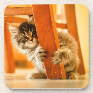 Kitty Under Chair Coaster