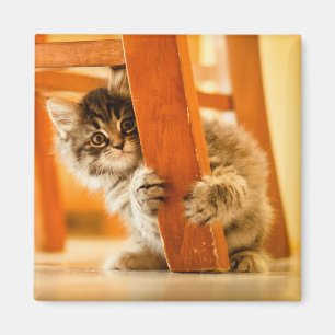 Kitty Under Chair Magnet