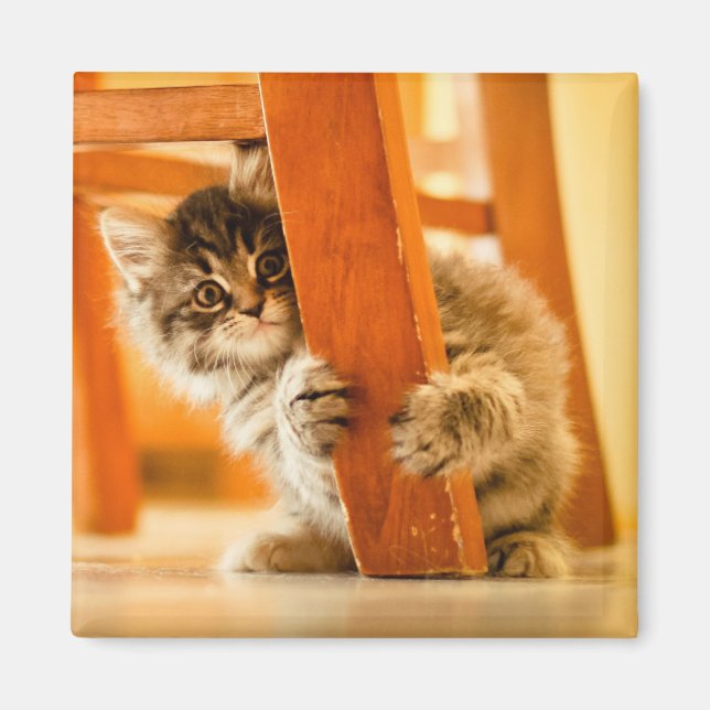 Kitty Under Chair Magnet (Front)