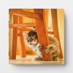 Kitty Under Chair Plaque