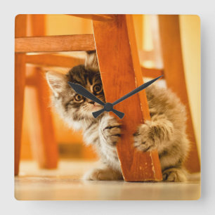 Kitty Under Chair Square Wall Clock