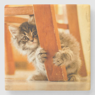 Kitty Under Chair Stone Coaster