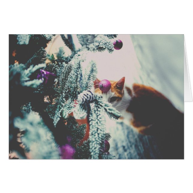 Kitty Under the Christmas Tree (Front Horizontal)