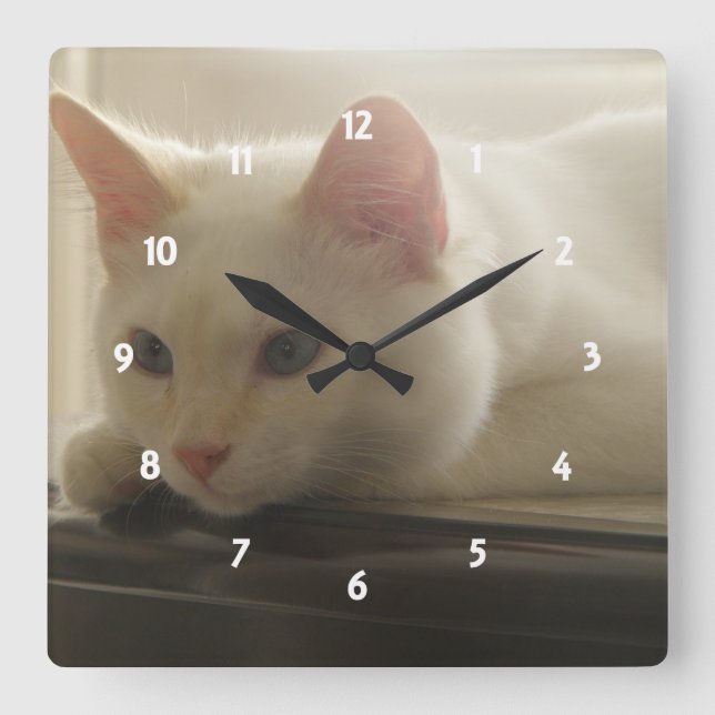 Kitty Wall Clock (Front)
