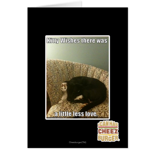 Kitty Wishes (Front)