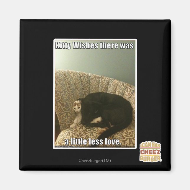 Kitty Wishes Magnet (Front)