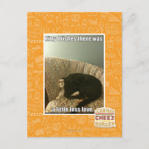 Kitty Wishes Postcard