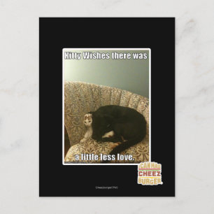 Kitty Wishes Postcard