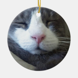 Kitty with pink nose sleeping ceramic tree decoration
