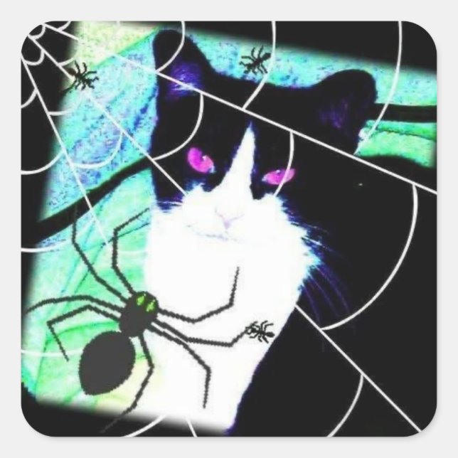 KittyCatSpiderWeb Square Sticker (Front)