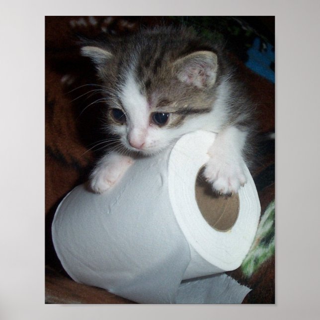 Kittypaper Poster (Front)