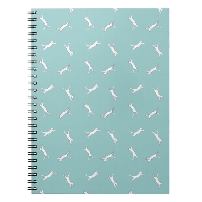 kittyrun light blue  notebook (Front)