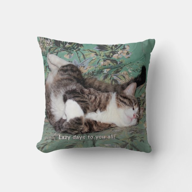 Kitty's Lazy Days Cushion (Front)