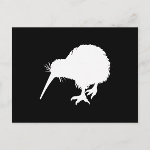 Kiwi Bird Postcard