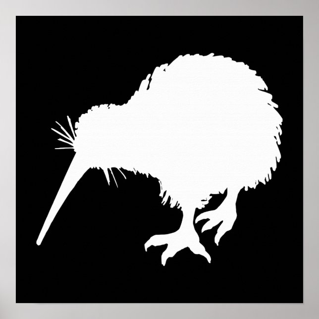 Kiwi Bird Poster (Front)