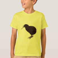 Kiwi Bird
