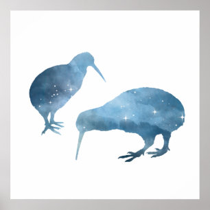 kiwi birds poster