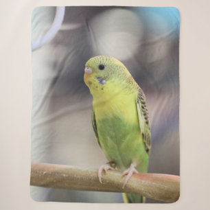 Kiwi Burbell Sherpa Blanket