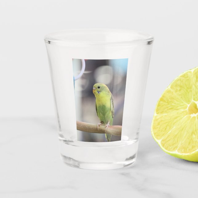 Kiwi Burbell Shot Glass (Front)