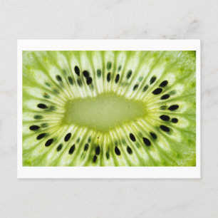 Kiwi Close-up Photo Postcard