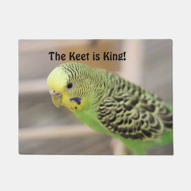 Kiwi Doormat (Front)