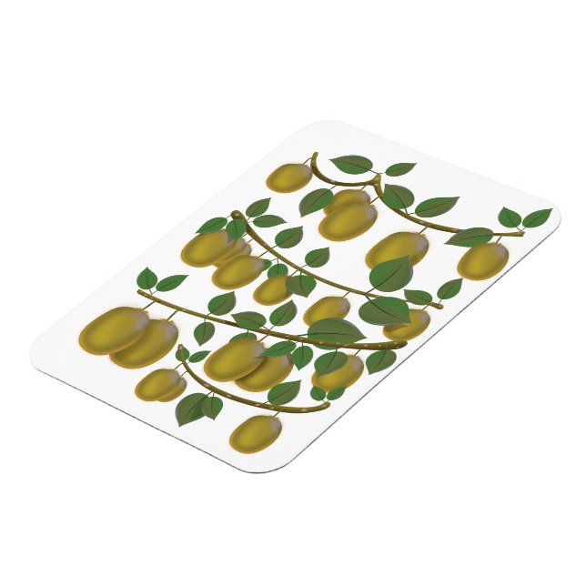 Kiwi Fruit Magnet (Left Side)