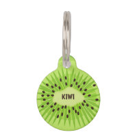 Kiwi Fruit Round Pet Tag