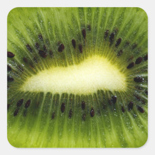 Kiwi Fruit Square Sticker