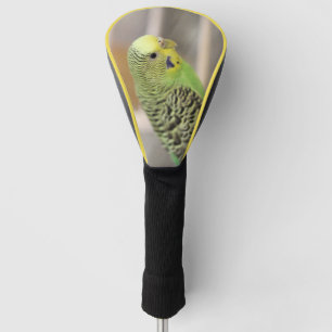 Kiwi golf head cover