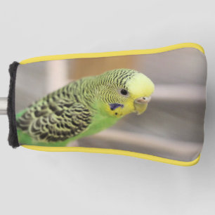 Kiwi golf head cover