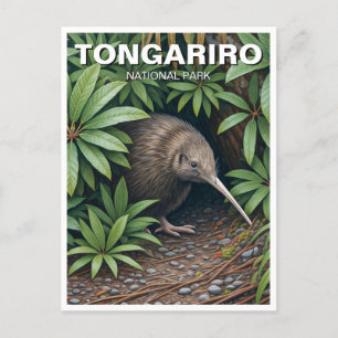 Kiwi in Tongariro National Park New Zealand Postcard