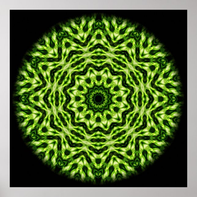 Kiwi Kaleidoscope Poster (Front)