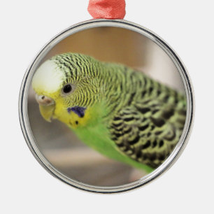 Kiwi Metal Ornament