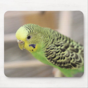 Kiwi Mouse Pad
