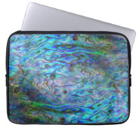 KIWI NEW ZEALAND PAUA