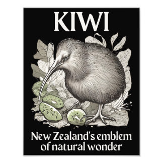 Kiwi: New Zealand's Emblem of Natural Wonder Photo Print