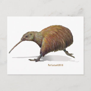 kiwi postcard