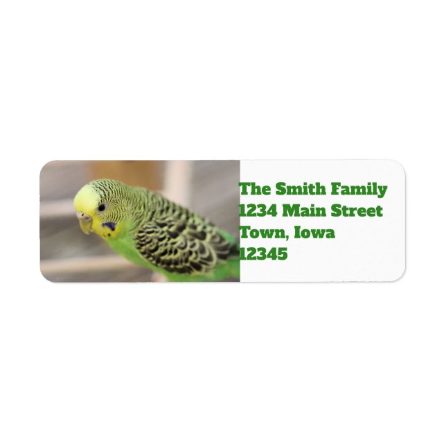 Kiwi Return Address Label (Front)