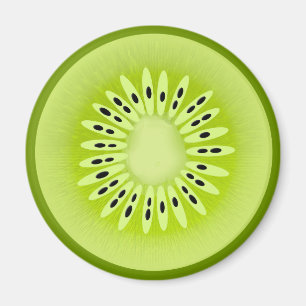 Kiwi Stylised Fruit Slice Magnet