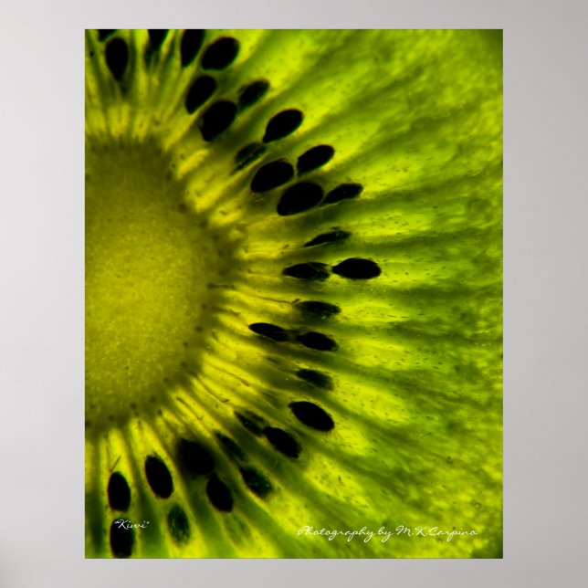 Kiwi Wall Art (Front)