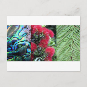 Kiwiana fern paua pohutukawa postcard