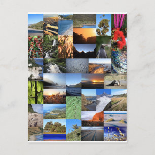 Kiwiana New Zealand nature scenic montage Postcard