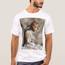 KK Golden-mantled ground squirrel