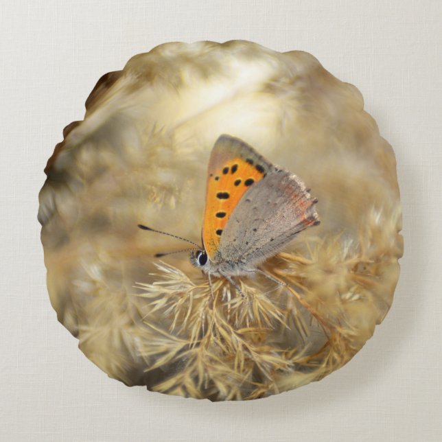 Kleiner Feuerfalter Round Cushion (Front)