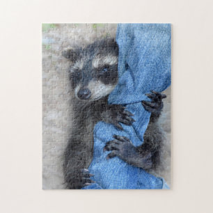 Kleiner Waschbär Jigsaw Puzzle
