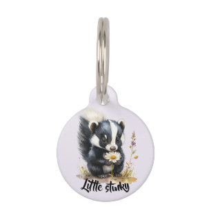 Kleines Stinktier schnüffelt an Gänseblümchen Pet Tag