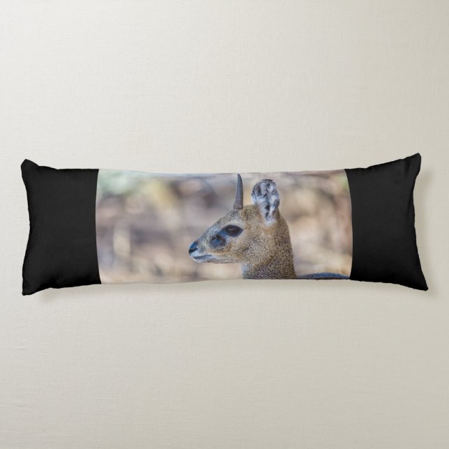Klipspringer Portrait Body Cushion (Back)