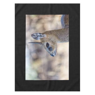 Klipspringer Portrait Tablecloth