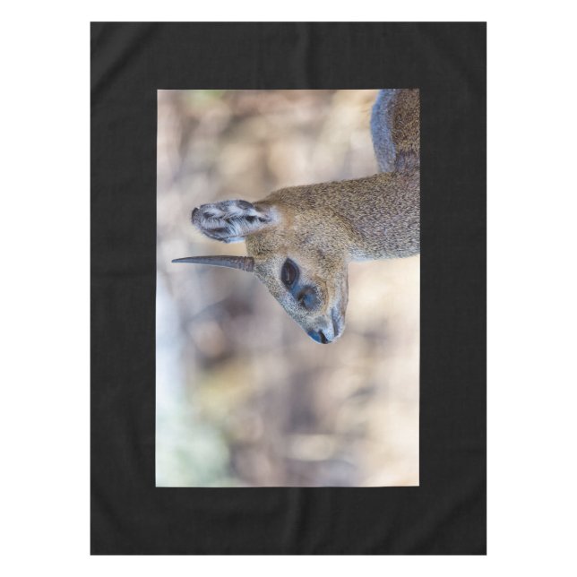 Klipspringer Portrait Tablecloth (Front)