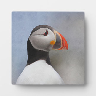 KMCphoto Painted Puffin Plaque